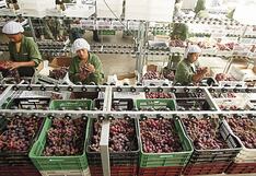 La agroindustria puede ayudar a reducir aún más la pobreza