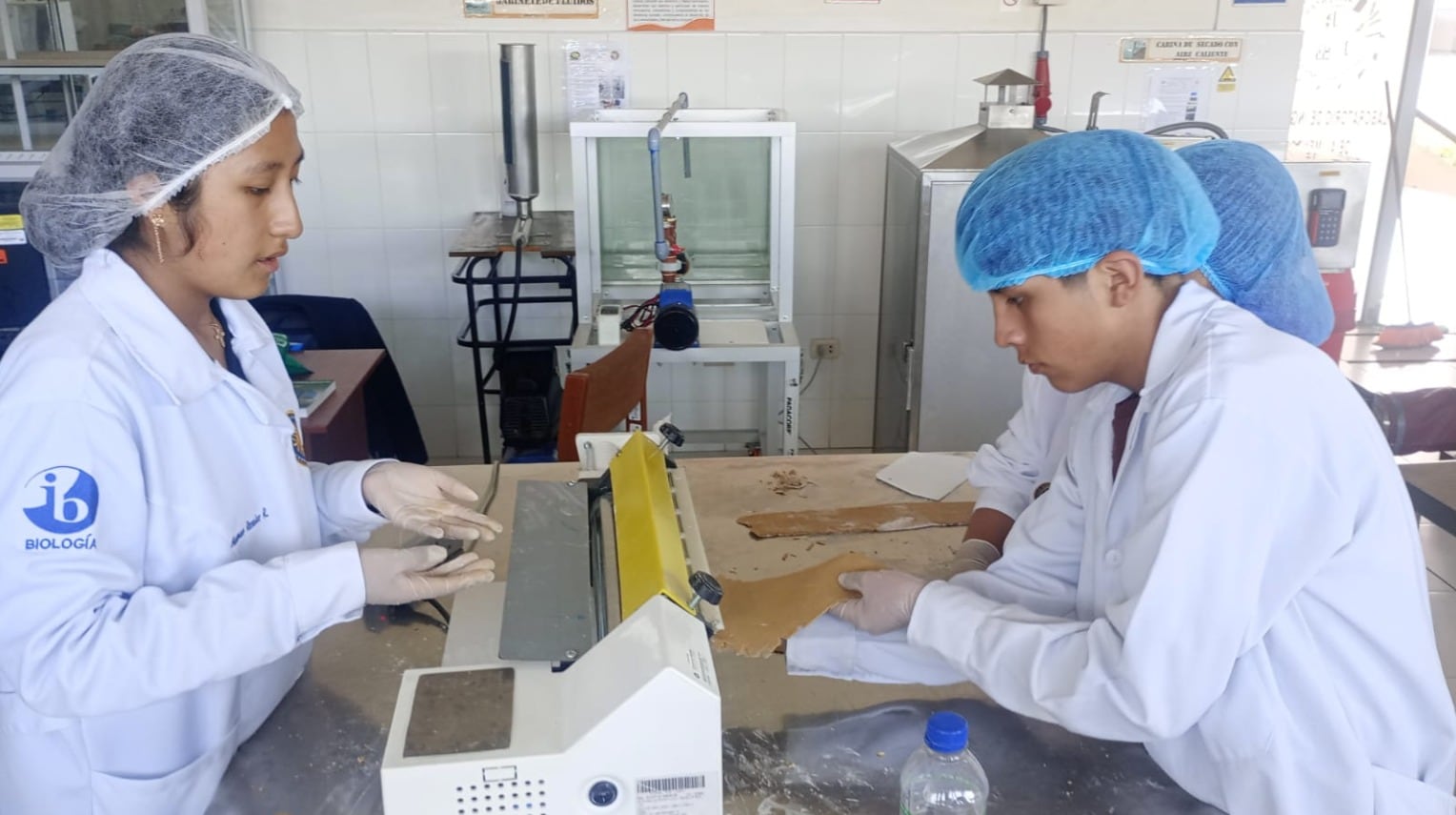 VitalFood - Proyecto COAR Junín