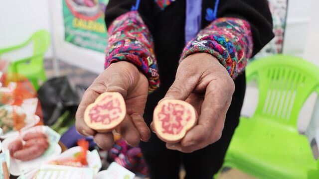 Buscan un futuro para el agro y la ganadería de la región de Huancavelica