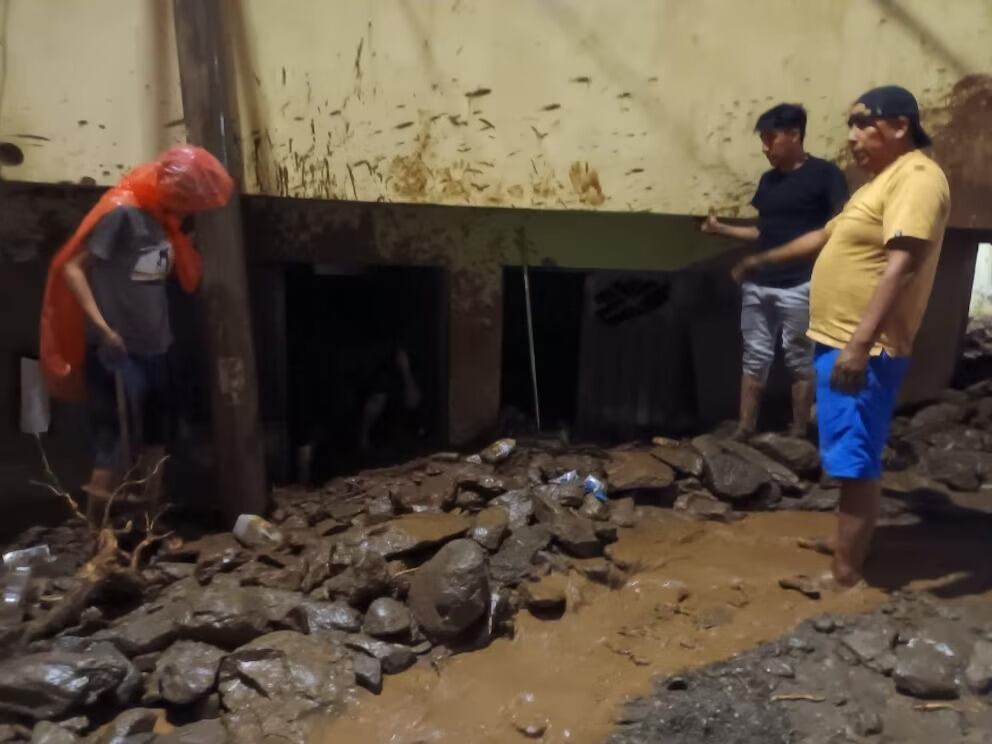 Las acciones incluyen la participación de los sectores de Salud, Educación, Vivienda, Transporte, y Defensa, entre otros, que aportarán bienes y servicios necesarios para la población.