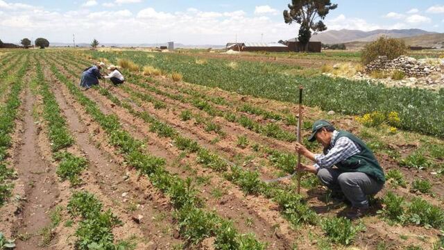 Midagri: Más de 100,000 títulos de productores agrarios estarán inscritos en Sunarp este año