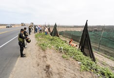 La Libertad: Recuperan terrenos invadidos en sitio arqueológico Chan Chan