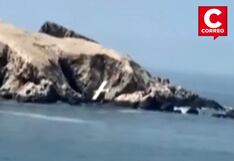 Avioneta cae en playa de San Bartolo: Rescatan a piloto tras accidente aéreo (VIDEO)