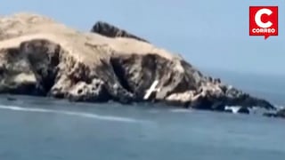 Avioneta cae en playa de San Bartolo: Rescatan a piloto tras accidente aéreo (VIDEO)