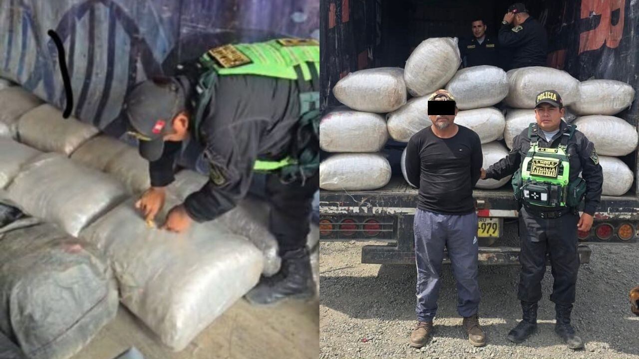 El cargamento estaba camuflado en la unidad vehicular. Intervención se realizó en la carretera de penetración a la sierra de La Libertad.