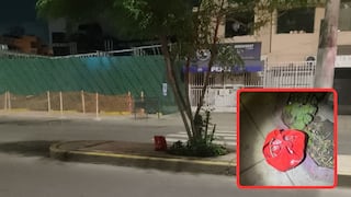 Trujillo: Hallan bolsa con 80 cartuchos de dinamita (VIDEO)