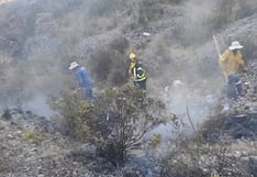 Condenan a responsable por incendio forestal en Cusco