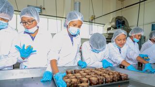 Niños en “Mini Ingenieros” por la Semana Nacional de la Ciencia 2025 en Huánuco