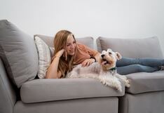 Cachorro en casa: cinco claves para un comienzo feliz y saludable