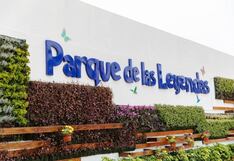 Parque de las Leyendas cerrará temporalmente de una de sus atracciones más populares