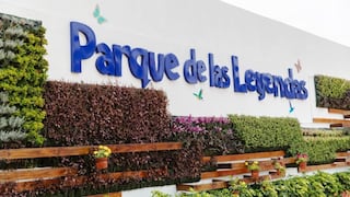 Parque de las Leyendas cerrará temporalmente de una de sus atracciones más populares