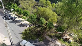 Alerta en el Malecón Chili por caída de árbol que casi causa una tragedia