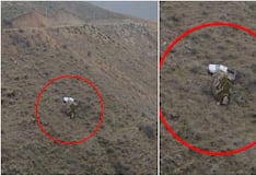 Chincha: camioneta cae a un abismo de más de 50 metros en San Juan de Yanac