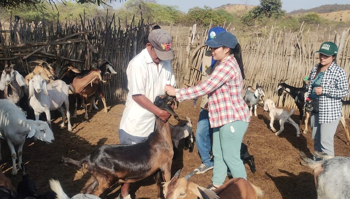 Actividad fue realizada en la provincia de Sullana