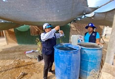 Chincha: realizan cerco entomológico para prevención y control del dengue