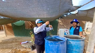 Chincha: realizan cerco entomológico para prevención y control del dengue