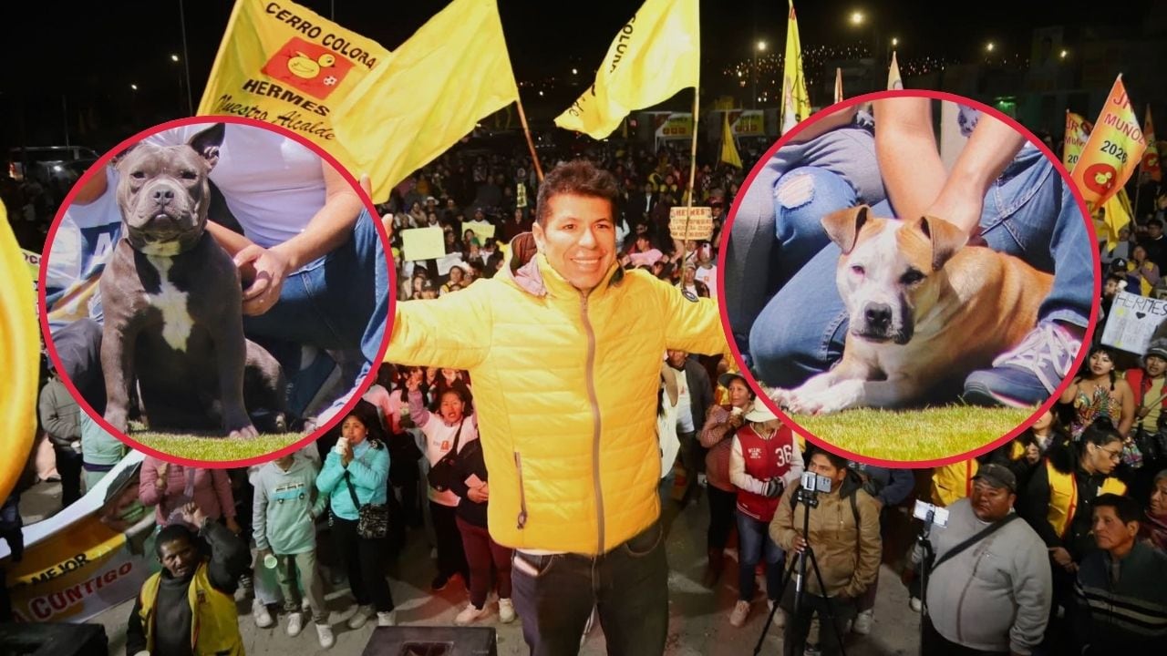 Arequipa: candidato Hermes Oscco debe pagar S/10 mil por ataque de perros que desfiguró a vecino