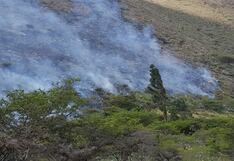 Minam exige reparaciones civiles tras captura de responsables de incendio en bosque de Carpish, en Huánuco