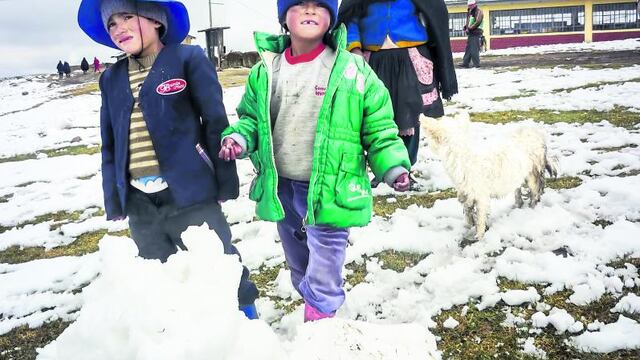 Decretan emergencia por heladas en el sur