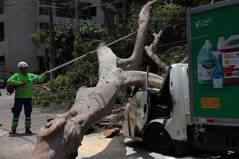 Árbol de gran tamaño cae sobre una furgoneta y deja dos heridos en Miraflores (GALERÍA)