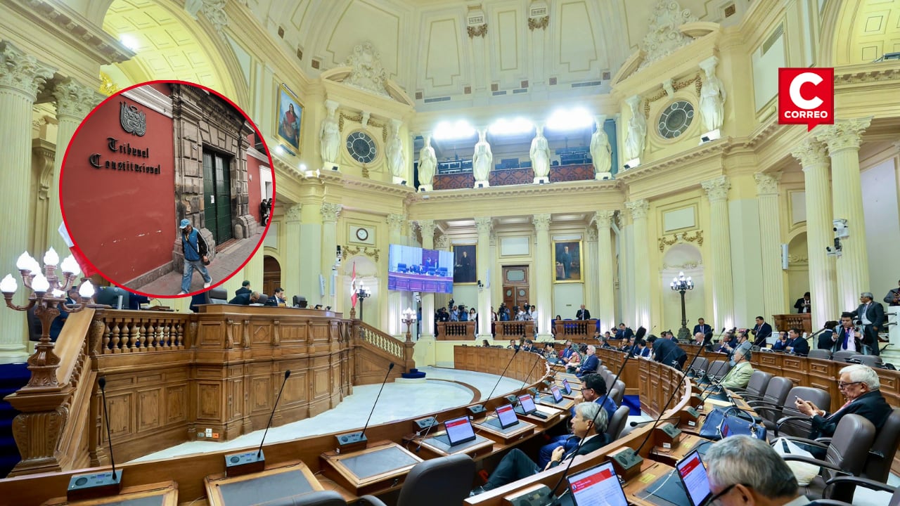 Senado aprobó el reglamento para la elección de los magistrados del TC