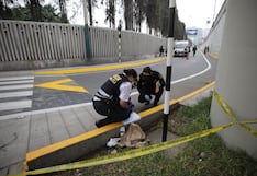 Robo de lingotes de oro en Surco: PNP investiga si estaría vinculado al asalto ocurrido en la Costa Verde