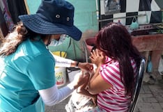 Elecciones Generales 2026: Recomiendan vacunarse ante de viajar a Puno