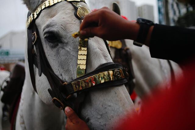 Regresa el Gran Desfile y Parada Militar por Fiestas Patrias. Cientos de peruanos acudieron a la ceremonia y se tomaron fotos con los uniformados. (Foto: Hugo Curotto @phto.gec)