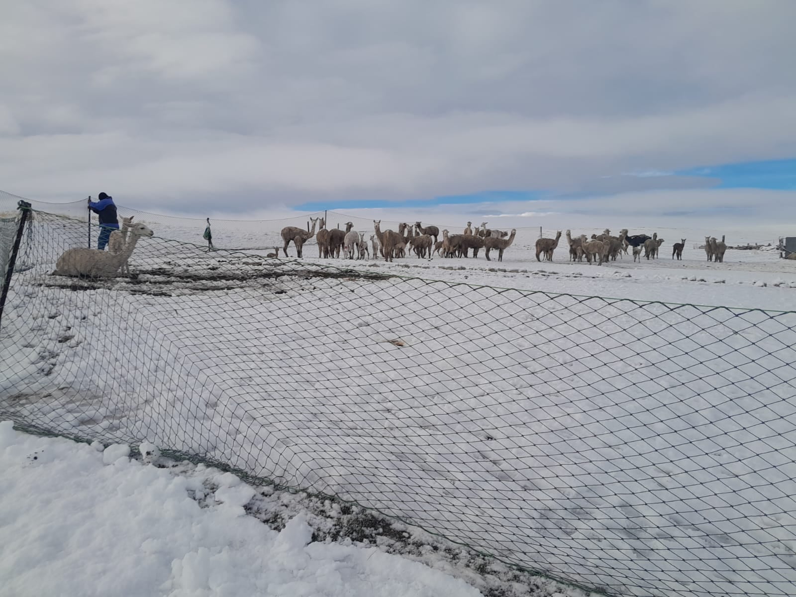 Granizo y nieve se registra en las zonas altas de la región Arequipa: (Foto Senamhi Arequipa)