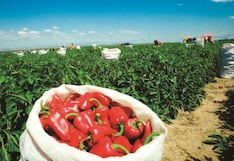 Agro creció en el primer trimestre del 2026