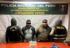 Ica: caen “los carroñeros del sur chico” y recuperan Ticos robados