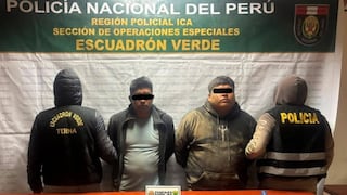 Ica: caen “los carroñeros del sur chico” y recuperan Ticos robados