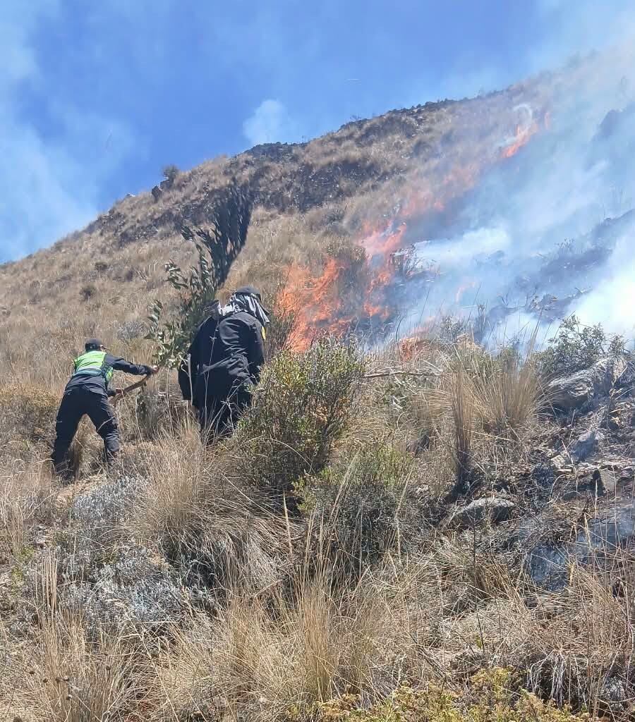 Incendio forestal en el distrito de Madrigal, en Caylloma, sigue activo. Foto: COER Arequipa.