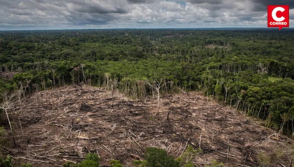 Deforestación en la amazonia. Foto: Referencial.