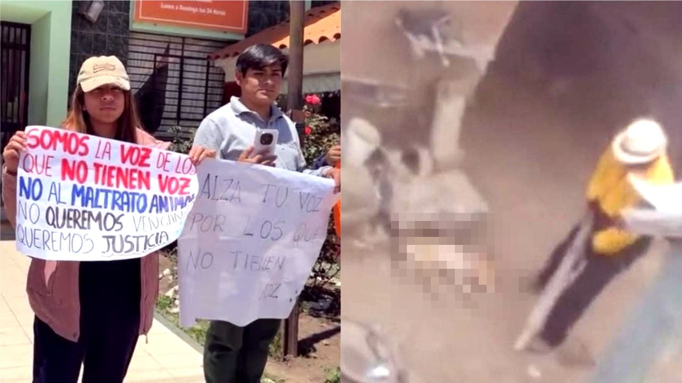 Vecinos grabaron a sujeto que descargó su furia contra pequeño animal. Animalistas marchan para que caso no quede impune.