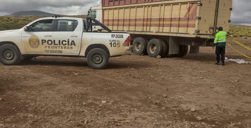 Tragedia en la comunidad campesina Ancomarca del distrito de Palca, en la zona andina de Tacna. (Foto: Difusión)