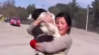 YouTube: Emotivo reencuentro de dueña con su perro tras erupción de volcán Calbuco