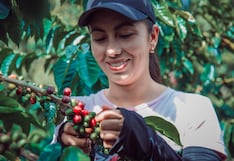 Ruta del Café en Oxapampa y Villa Rica: descubre la cultura cafetera en la Selva Central