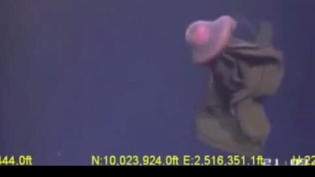 YouTube: Misteriosa criatura es captada en el fondo del mar (VIDEO)