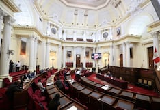 Bancada de diputados del Buen Gobierno plantea derogar creación del colegio de artistas del Perú