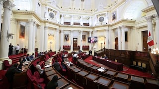 Bancada de diputados del Buen Gobierno plantea derogar creación del colegio de artistas del Perú