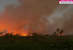 Incendio forestal en Manantay se acerca a zonas habitadas y moviliza a los bomberos