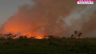 Incendio forestal en Manantay se acerca a zonas habitadas y moviliza a los bomberos