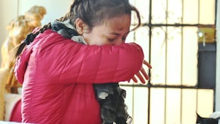 Minsa aclara situación de la influenza A H3N2 y emite recomendaciones