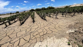 Desborde del río Ica deja 117 afectados y arrasa 240 hectáreas de cultivos en Ocucaje