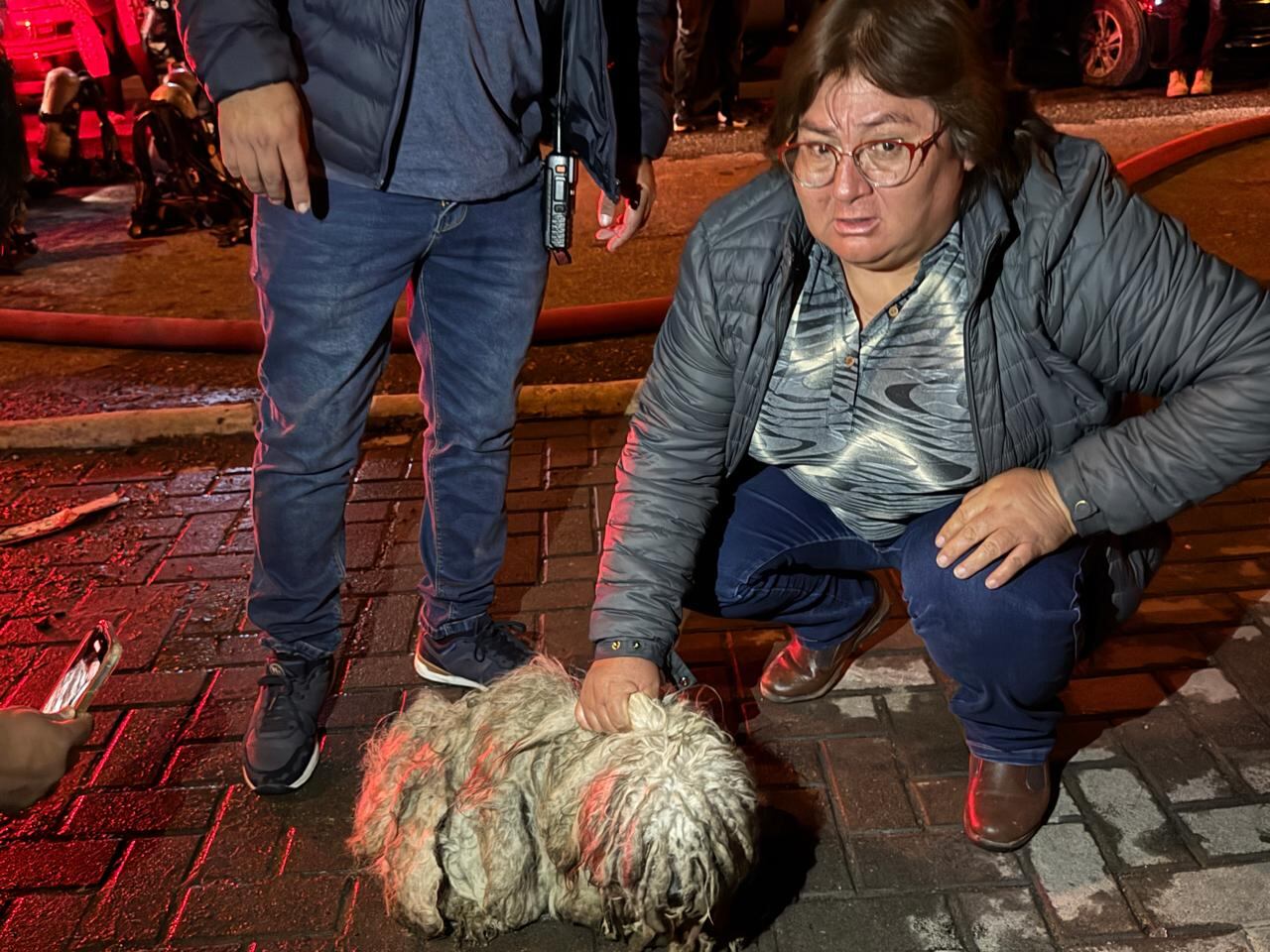 Una de las dueñas agradeció el rescate de sus mascotas