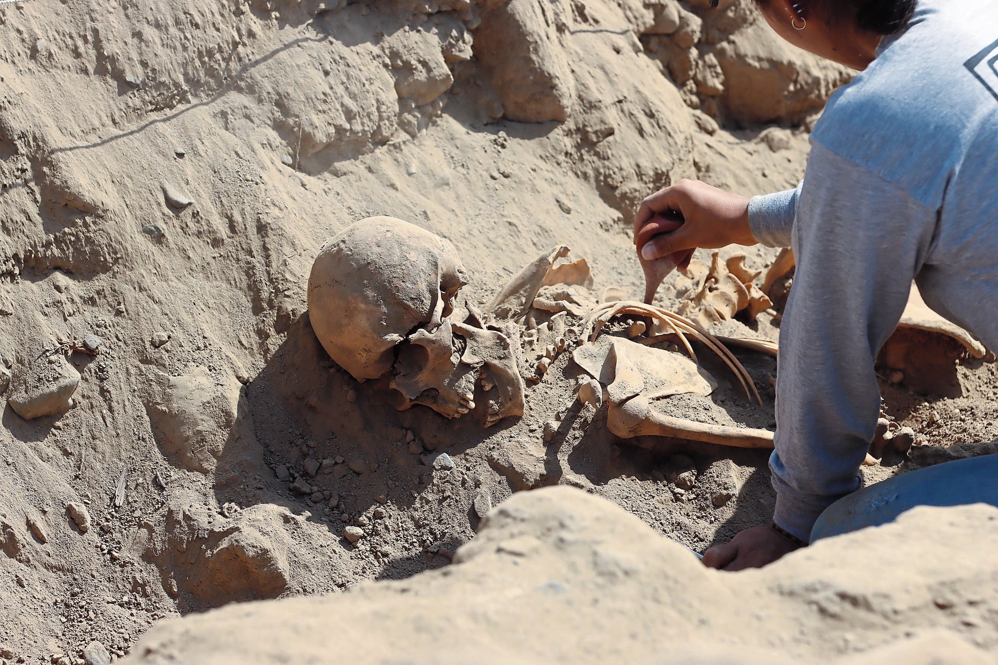 La osamenta de un hombre en posición decúbito ventral fue encontrada por arqueólogos de la Universidad Nacional de Trujillo.