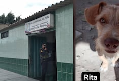 Joven denuncia presunto maltrato animal tras la muerte de su mascota en Pomalca