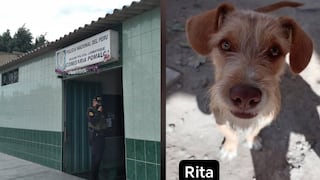 Joven denuncia presunto maltrato animal tras la muerte de su mascota en Pomalca