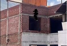 Huánuco: exhuman y realizan necropsia de perro que murió ahorcado